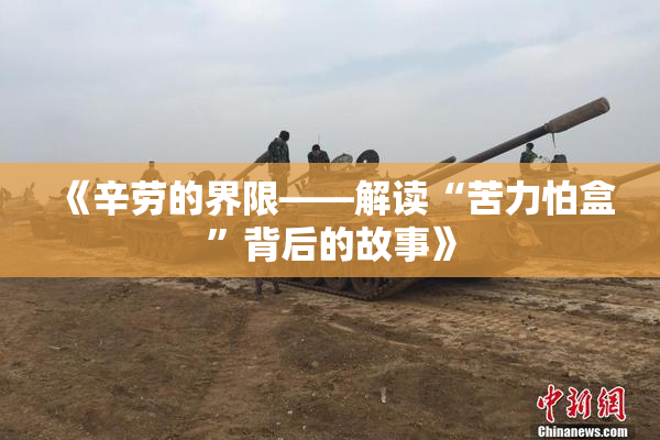 《辛劳的界限——解读“苦力怕盒”背后的故事》