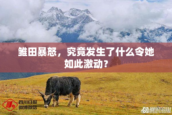 雏田暴怒，究竟发生了什么令她如此激动？