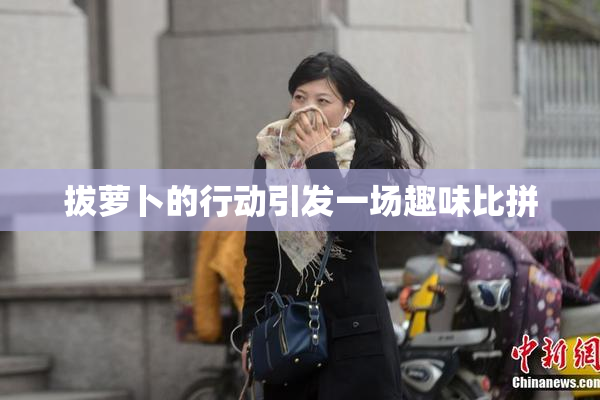 拔萝卜的行动引发一场趣味比拼