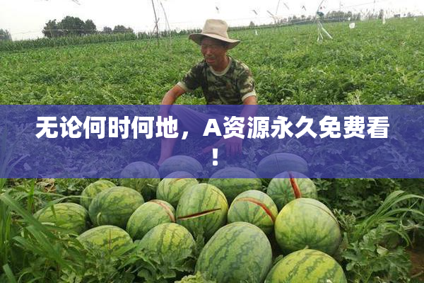 无论何时何地，A资源永久免费看！