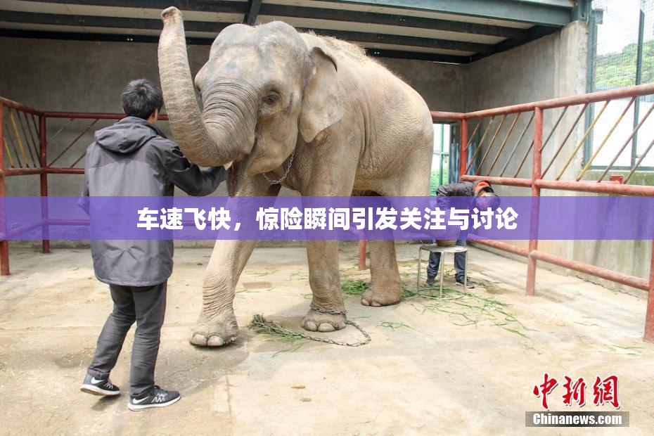 车速飞快，惊险瞬间引发关注与讨论
