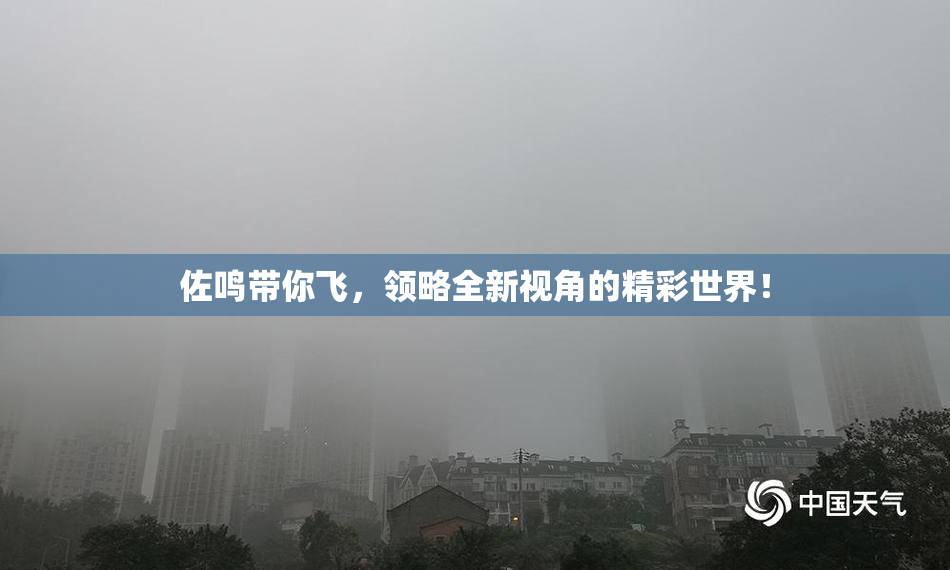佐鸣带你飞，领略全新视角的精彩世界！