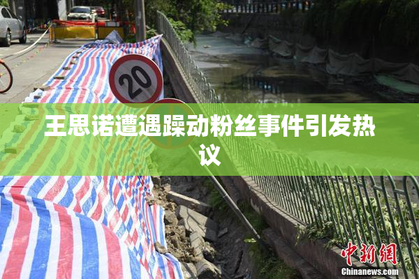 王思诺遭遇躁动粉丝事件引发热议