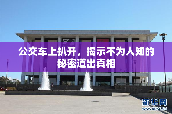 公交车上扒开，揭示不为人知的秘密道出真相