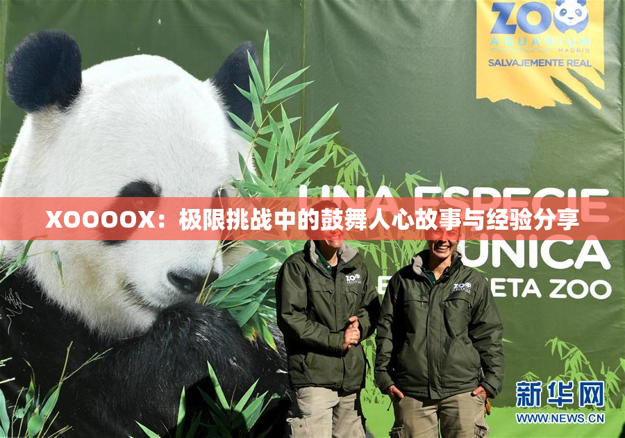 XOOOOX：极限挑战中的鼓舞人心故事与经验分享