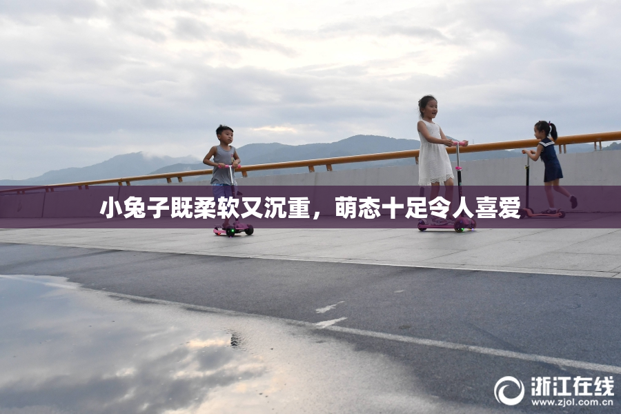 小兔子既柔软又沉重，萌态十足令人喜爱