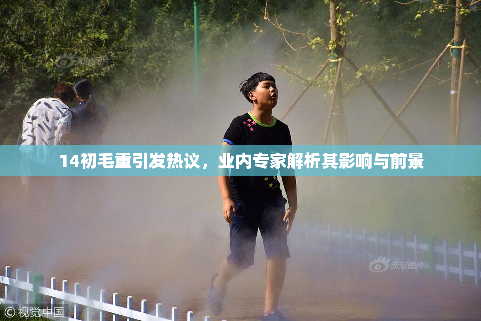 14初毛重引发热议，业内专家解析其影响与前景
