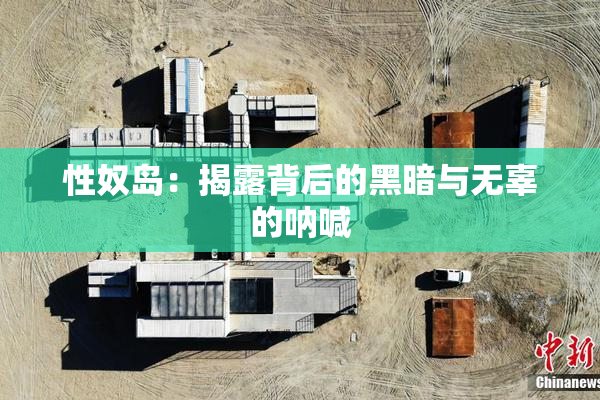 性奴岛：揭露背后的黑暗与无辜的呐喊