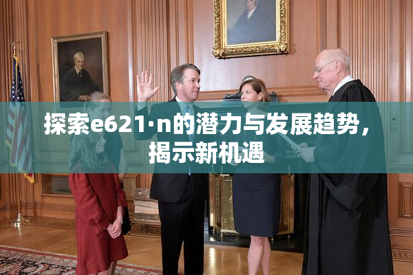 探索e621·n的潜力与发展趋势，揭示新机遇