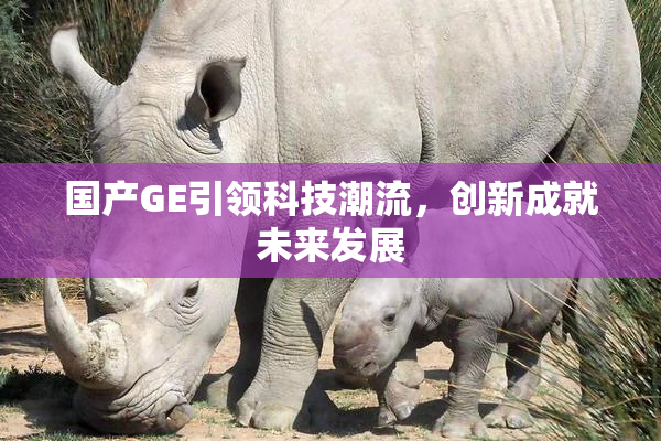 国产GE引领科技潮流，创新成就未来发展