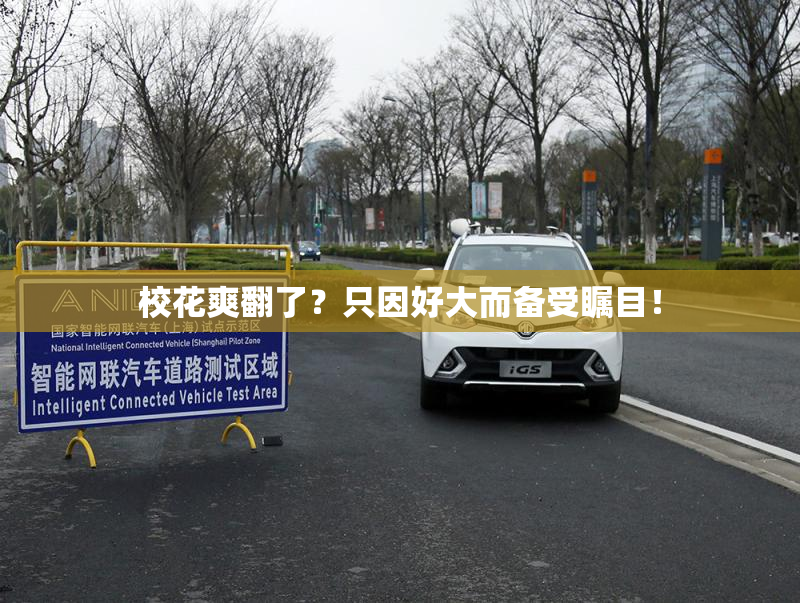 校花爽翻了？只因好大而备受瞩目！