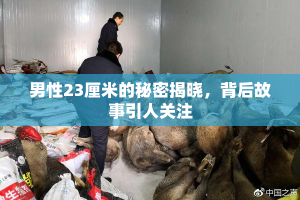 男性23厘米的秘密揭晓，背后故事引人关注