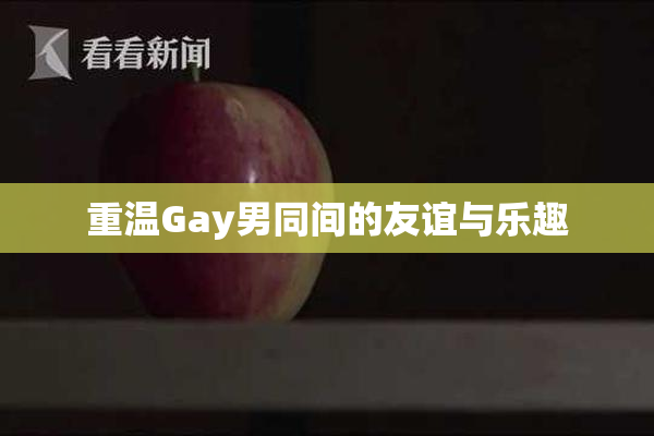 重温Gay男同间的友谊与乐趣