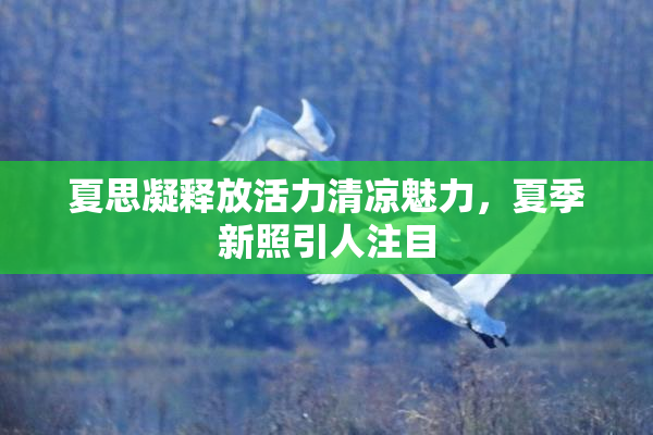 夏思凝释放活力清凉魅力，夏季新照引人注目