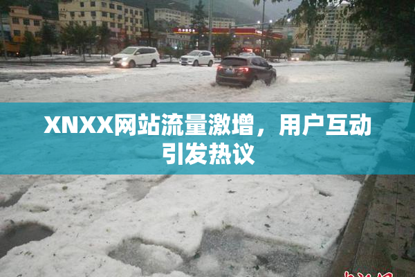 XNXX网站流量激增，用户互动引发热议
