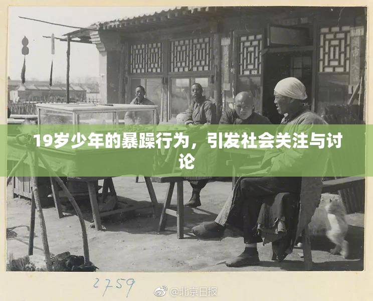 19岁少年的暴躁行为，引发社会关注与讨论