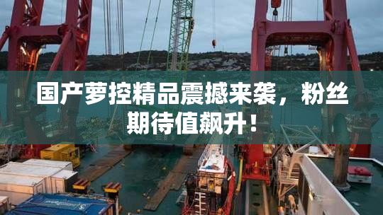 国产萝控精品震撼来袭，粉丝期待值飙升！