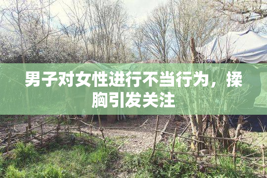 男子对女性进行不当行为，揉胸引发关注