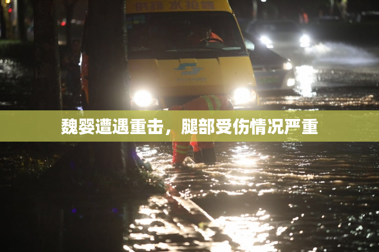 魏婴遭遇重击，腿部受伤情况严重