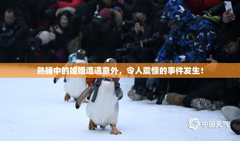熟睡中的姐姐遭遇意外，令人震惊的事件发生！