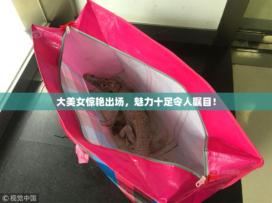 大美女惊艳出场，魅力十足令人瞩目！