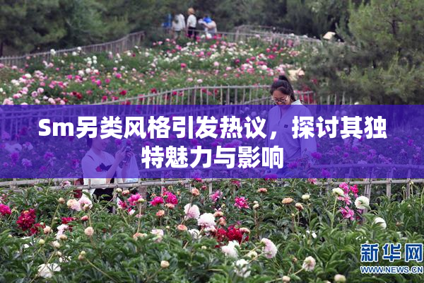 Sm另类风格引发热议，探讨其独特魅力与影响