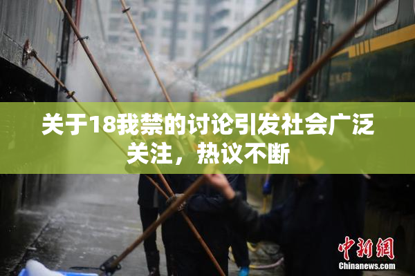 关于18我禁的讨论引发社会广泛关注，热议不断