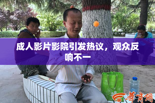成人影片影院引发热议，观众反响不一