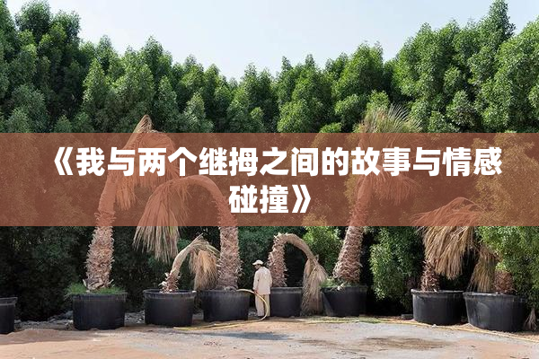 《我与两个继拇之间的故事与情感碰撞》