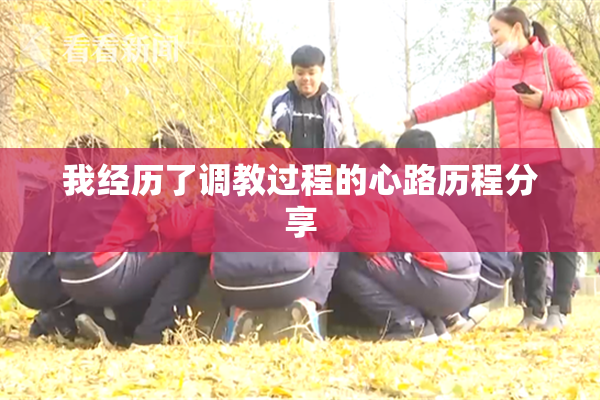 我经历了调教过程的心路历程分享