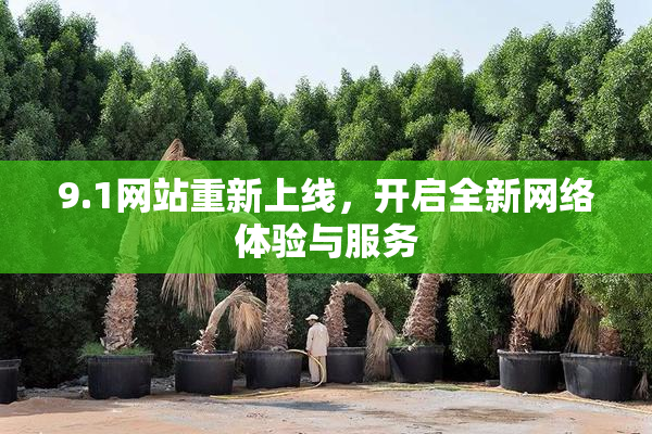 9.1网站重新上线，开启全新网络体验与服务