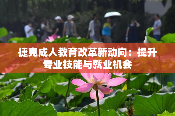 捷克成人教育改革新动向：提升专业技能与就业机会