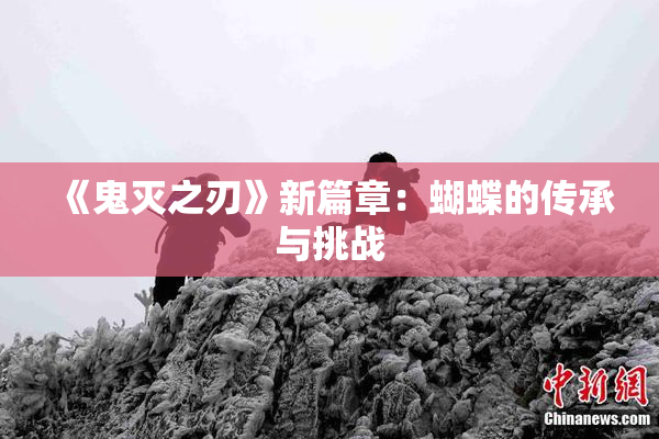《鬼灭之刃》新篇章：蝴蝶的传承与挑战