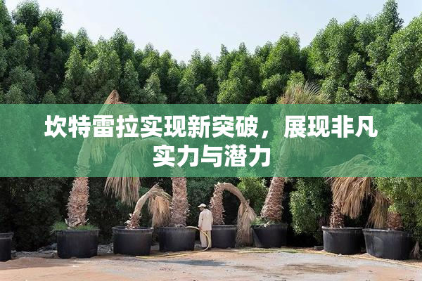 坎特雷拉实现新突破，展现非凡实力与潜力