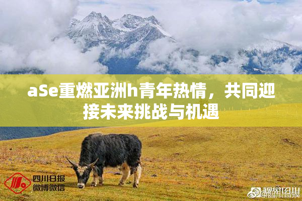 aSe重燃亚洲h青年热情，共同迎接未来挑战与机遇