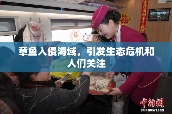 章鱼入侵海域，引发生态危机和人们关注