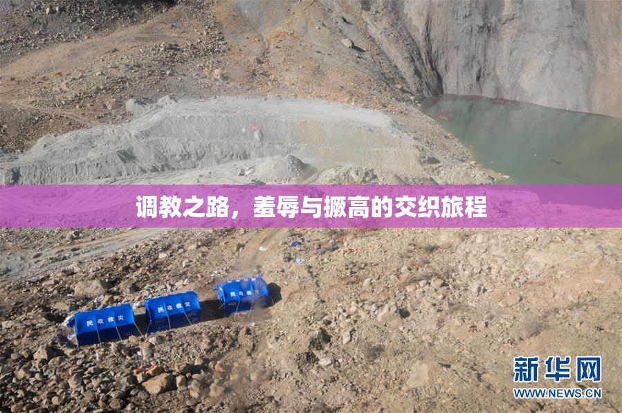 调教之路，羞辱与撅高的交织旅程