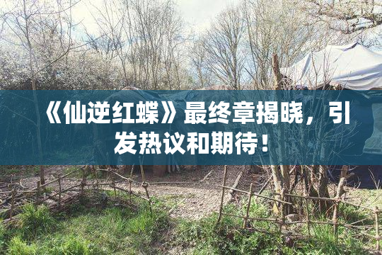 《仙逆红蝶》最终章揭晓，引发热议和期待！
