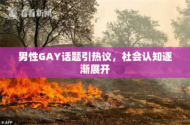 男性GAY话题引热议，社会认知逐渐展开