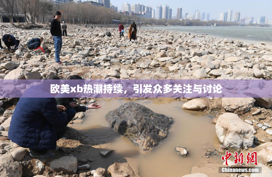欧美xb热潮持续，引发众多关注与讨论