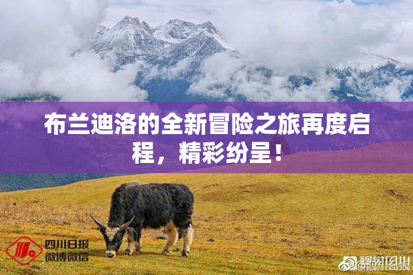 布兰迪洛的全新冒险之旅再度启程，精彩纷呈！