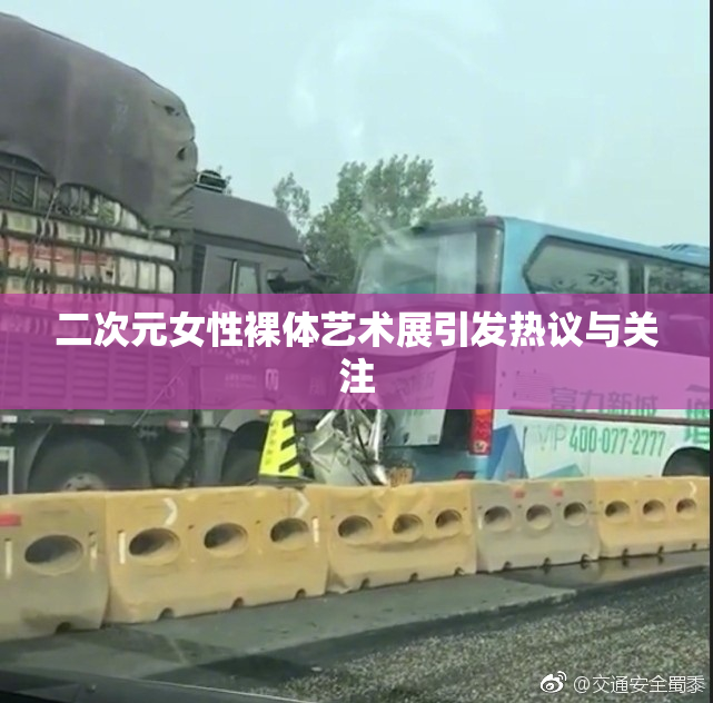 二次元女性裸体艺术展引发热议与关注