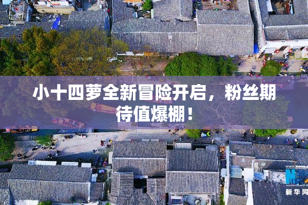 小十四萝全新冒险开启，粉丝期待值爆棚！