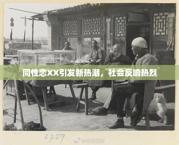 同性恋XX引发新热潮，社会反响热烈