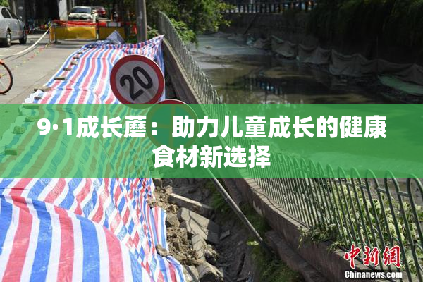 9·1成长蘑：助力儿童成长的健康食材新选择