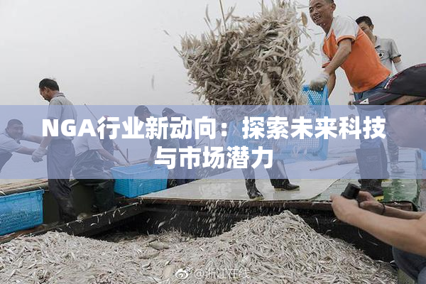 NGA行业新动向：探索未来科技与市场潜力