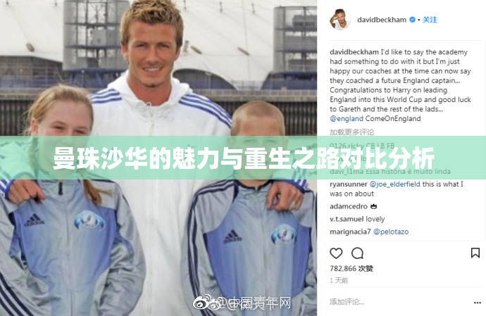 曼珠沙华的魅力与重生之路对比分析