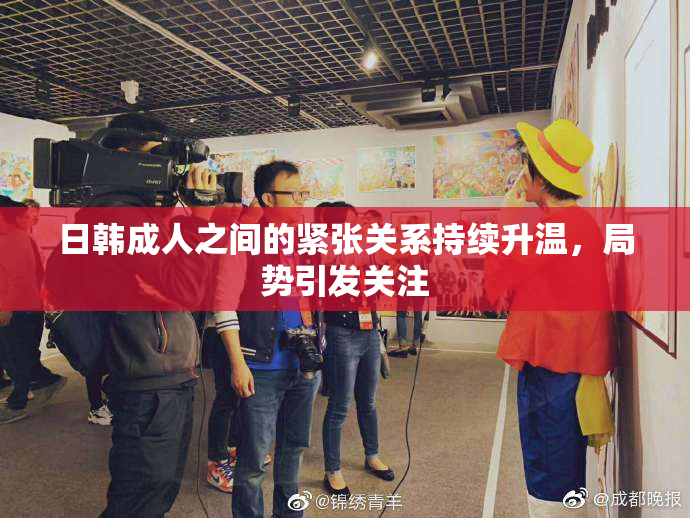 日韩成人之间的紧张关系持续升温，局势引发关注