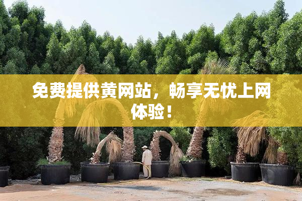 免费提供黄网站，畅享无忧上网体验！