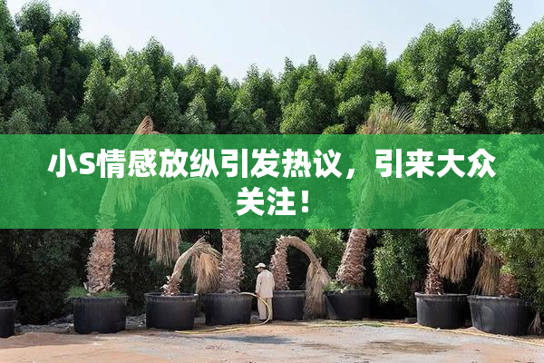 小S情感放纵引发热议，引来大众关注！